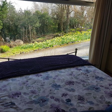 Apartamento Hollybanks Moycullen Habitación foto